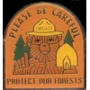 SMOKEY THE BEAR PLEASE BE CAREFUL FIRE PIN